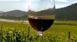 La ruta del vino en Chile